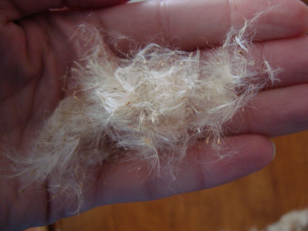 Cattail yarn? » DesigKnit