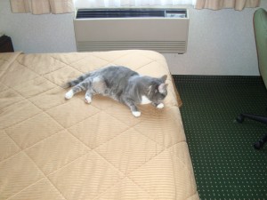 DSC04035